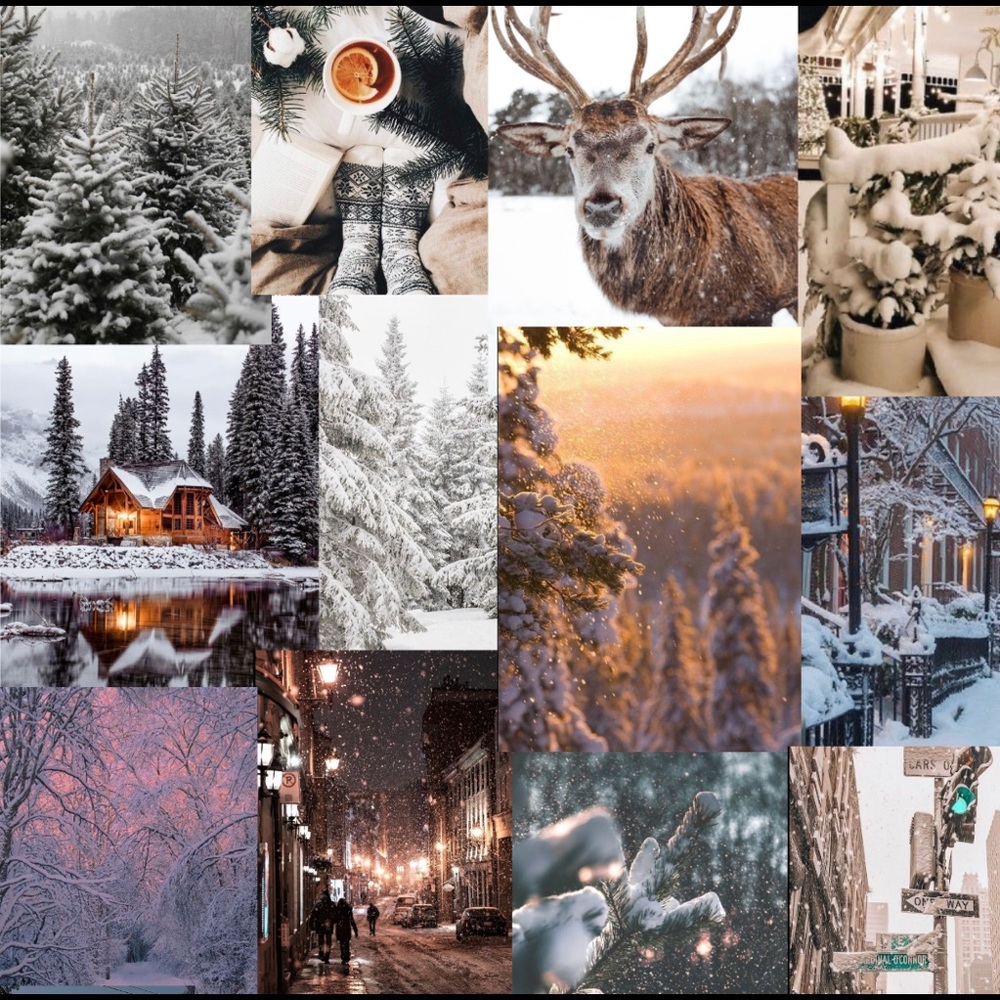 Winter pics